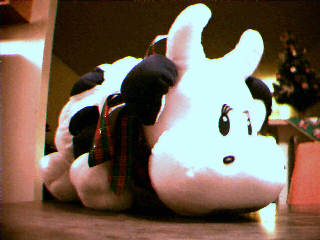 Scrunchy Steer a Plush Toy Moo